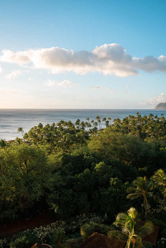 Ko Olina Coast From Above