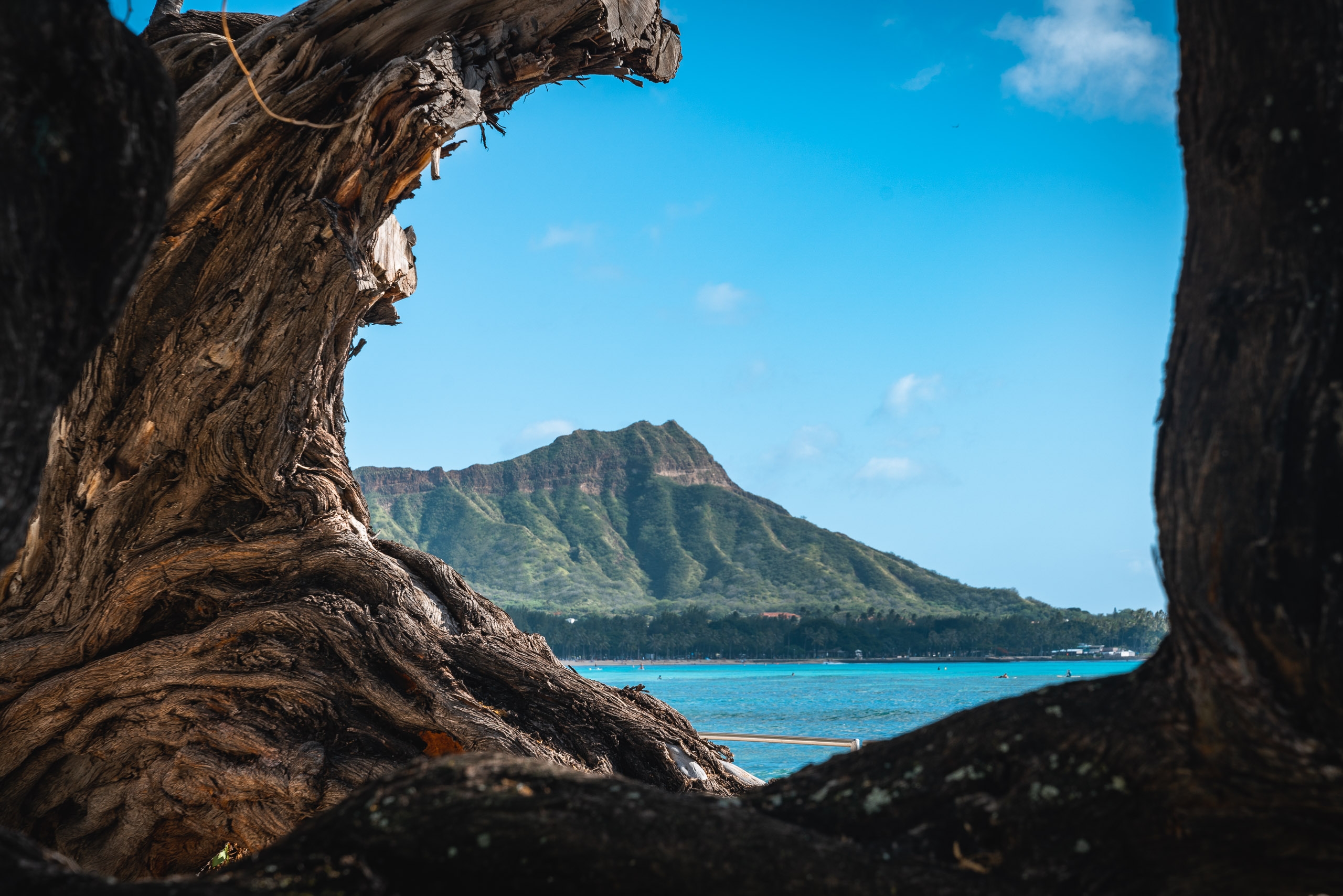 Gnarled tree branches frame a distant volcanic mountain rising above turquoise ocean waters under clear blue sky