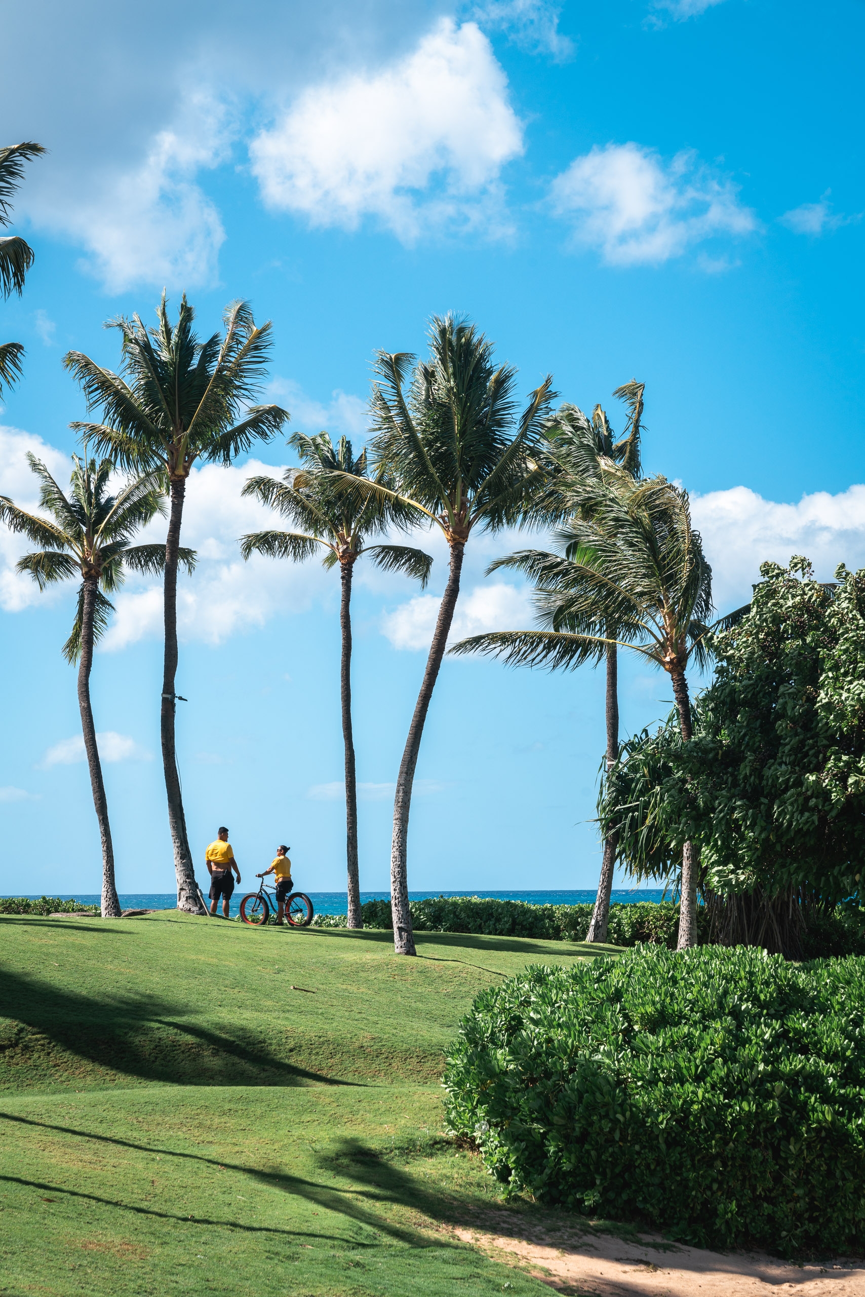 Two people stand with a bicycle on manicured green lawn beneath tall palm trees, facing turquoise ocean under clear blue sky with white clouds