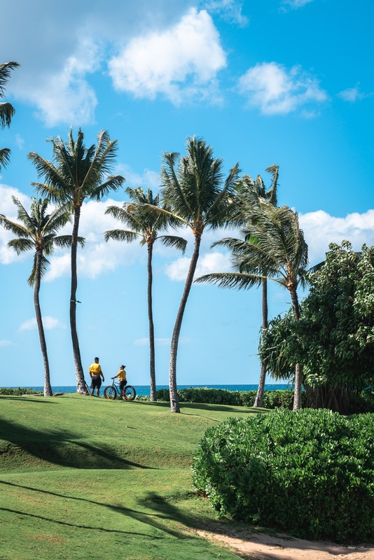 Palms And Ocean At Ko Olina