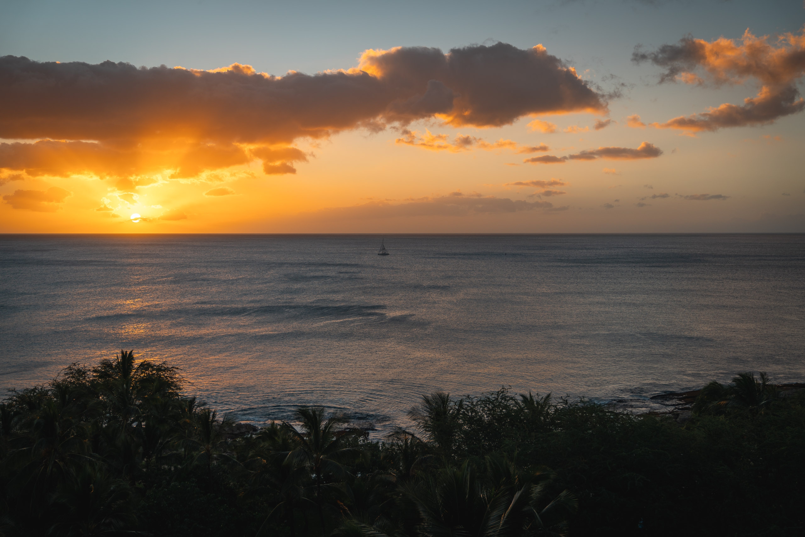 Golden sunset illuminates dramatic clouds above calm ocean waters, with silhouetted palm trees framing the foreground and a distant sailboat on the horizon