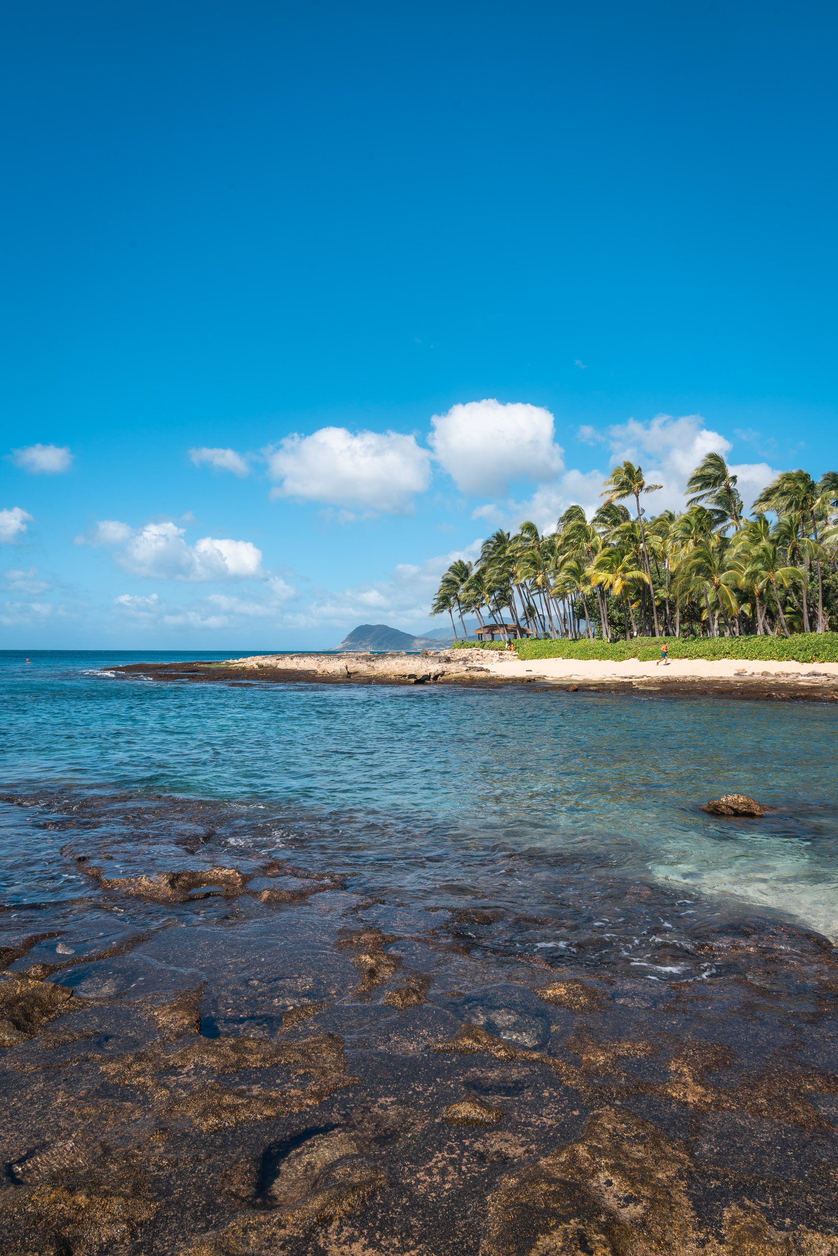 Tropical coastal scene with clear turquoise water, rocky foreground, white sand beach, and tall palm trees lining the shore under bright blue sky with wispy clouds