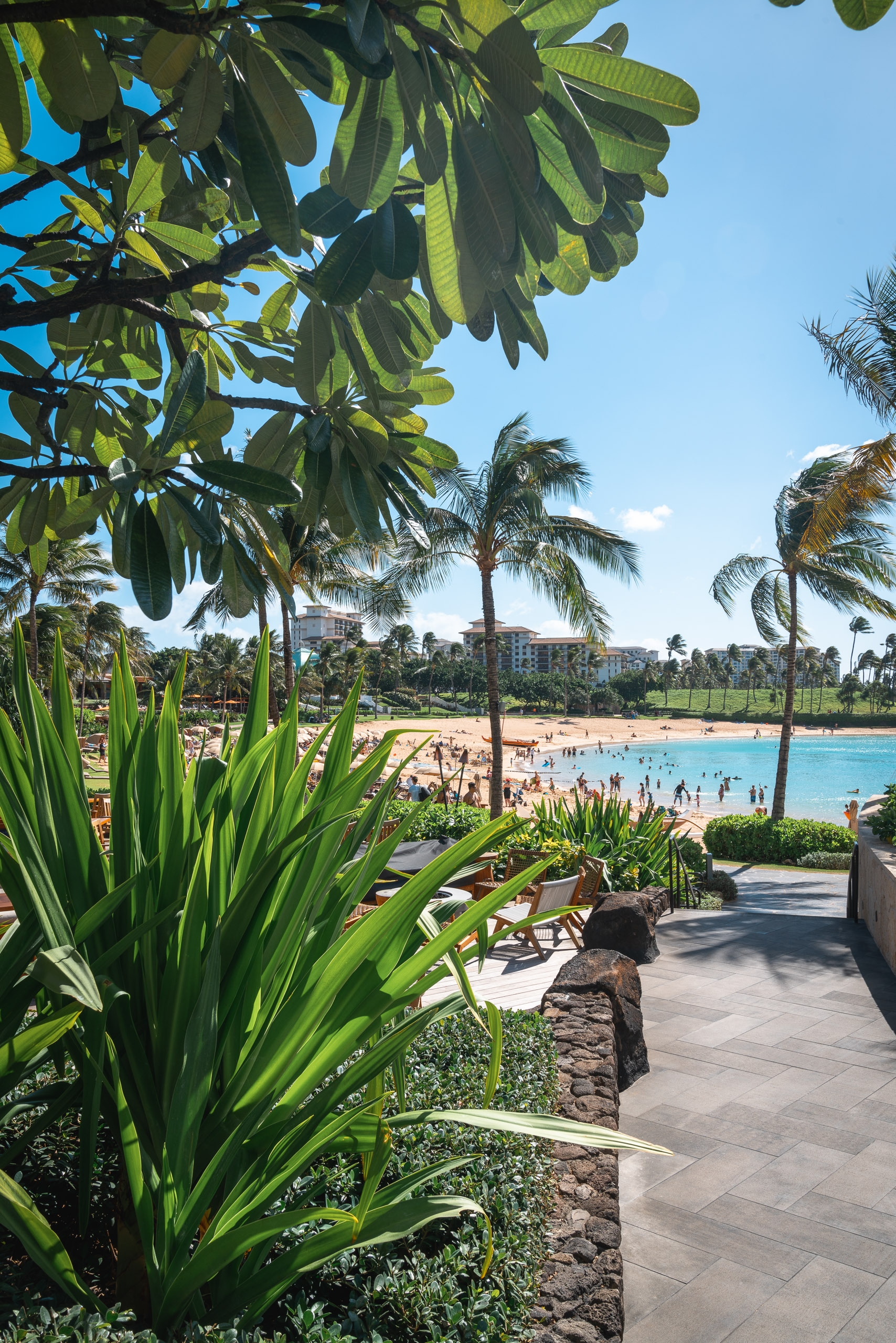 Tropical vegetation frames a view of a turquoise lagoon beach with swimmers and palm trees under clear blue sky