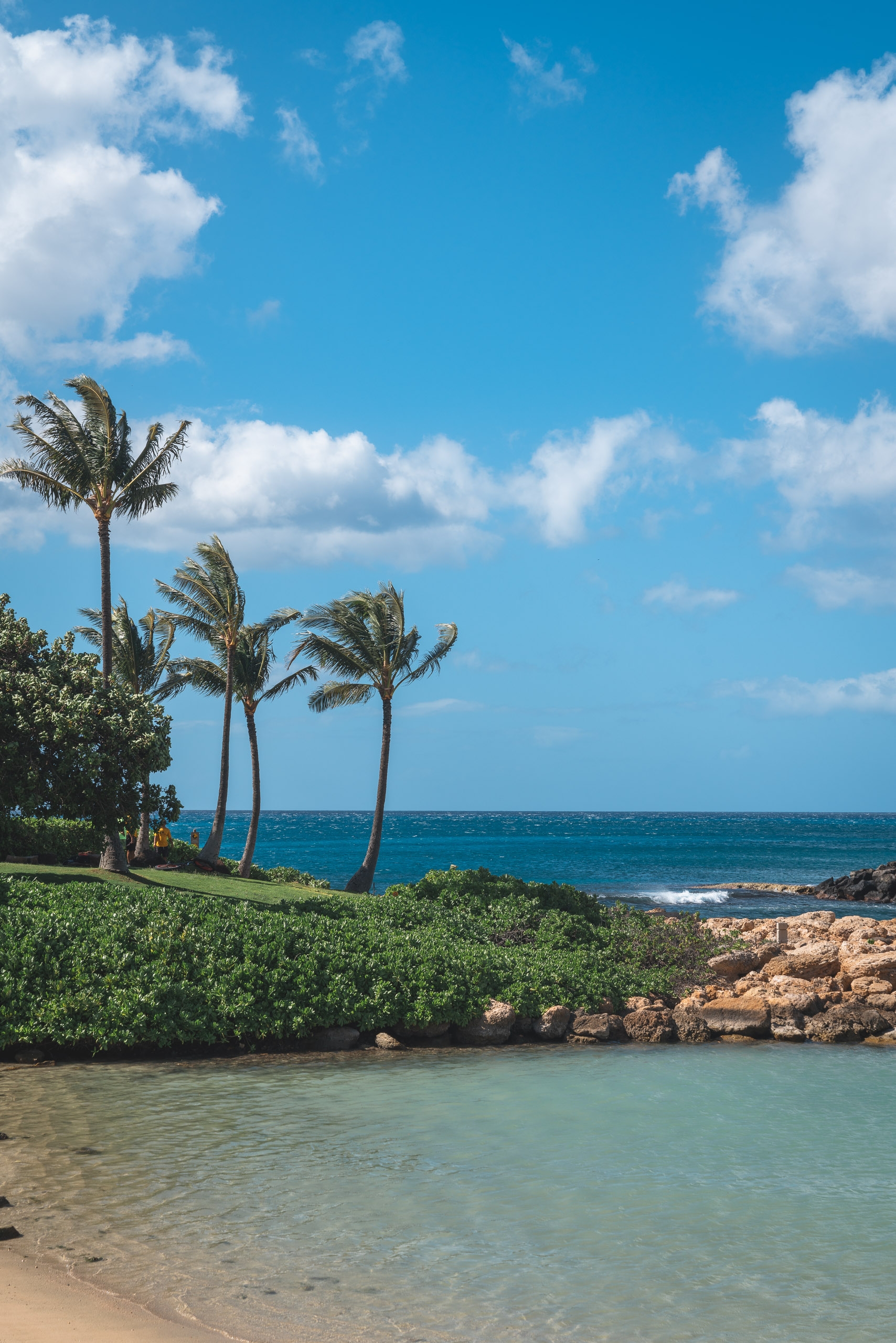 Palm trees sway above a tranquil turquoise lagoon bordered by lush green vegetation and rocky outcrops under bright blue sky with white clouds
