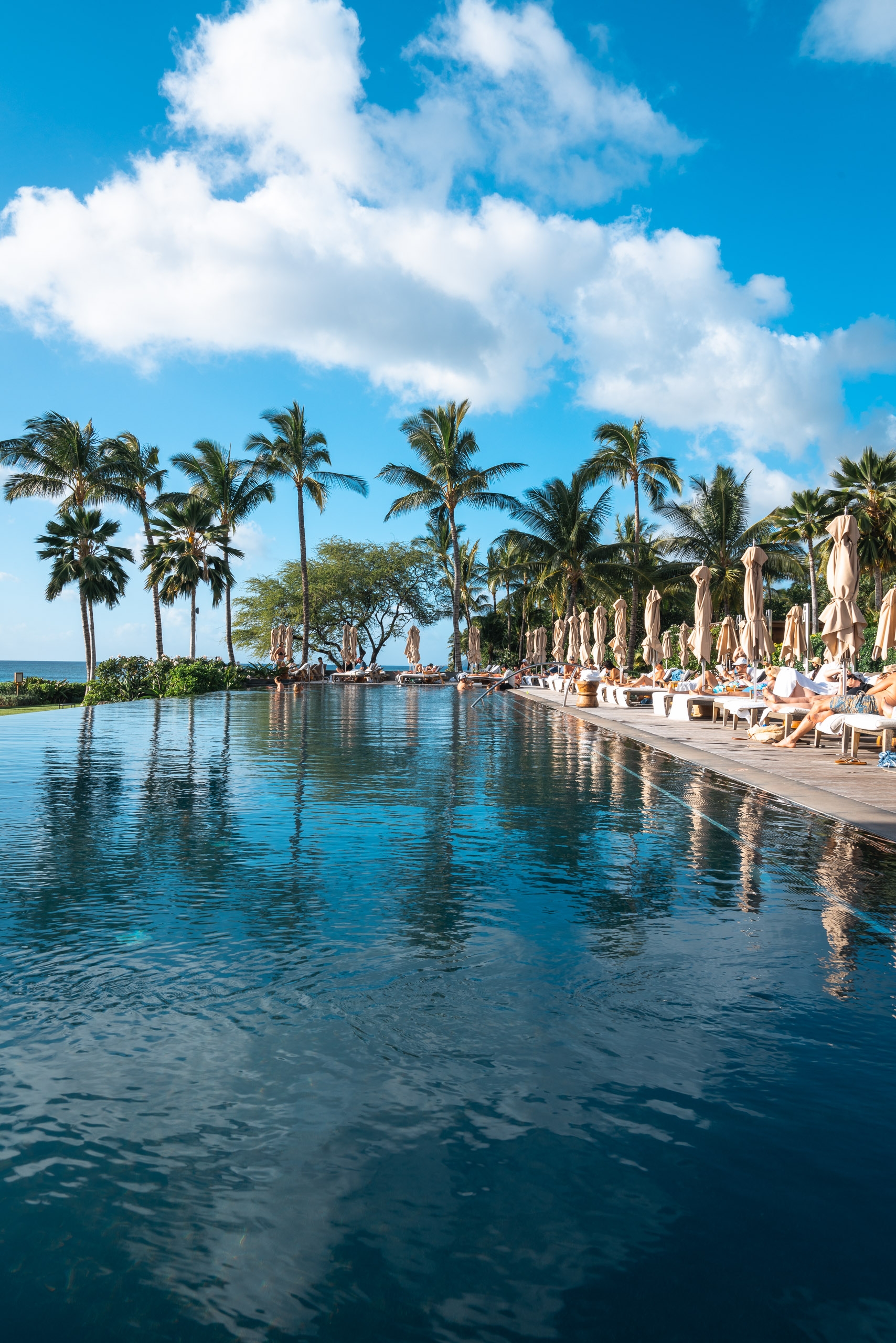 A tropical resort pool lined with lounge chairs and palm trees reflects calm blue water under a clear sky with white clouds in Hawaii