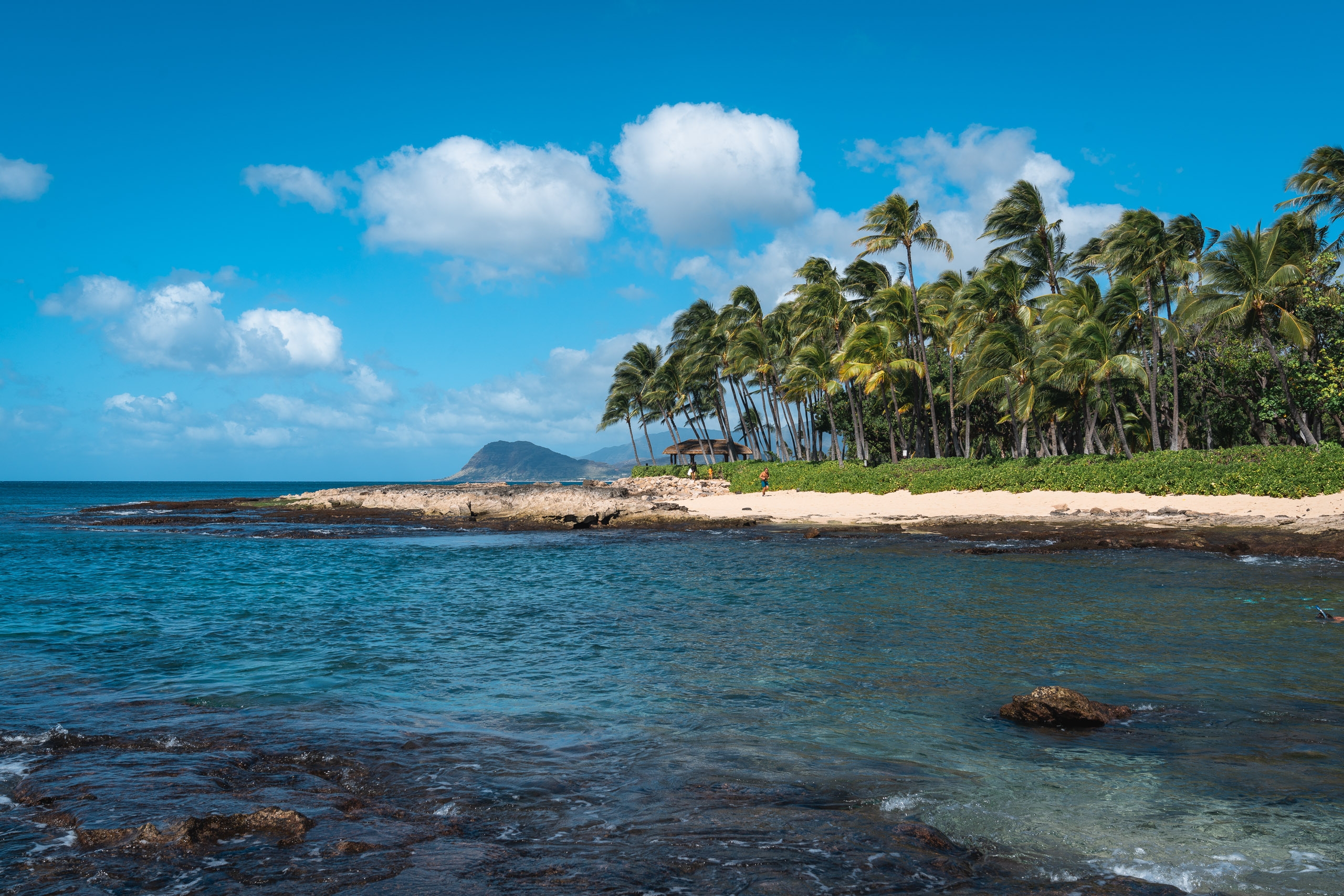 Turquoise ocean waters meet a sandy beach lined with swaying palm trees under bright blue sky with scattered white clouds, a volcanic island visible in the distance