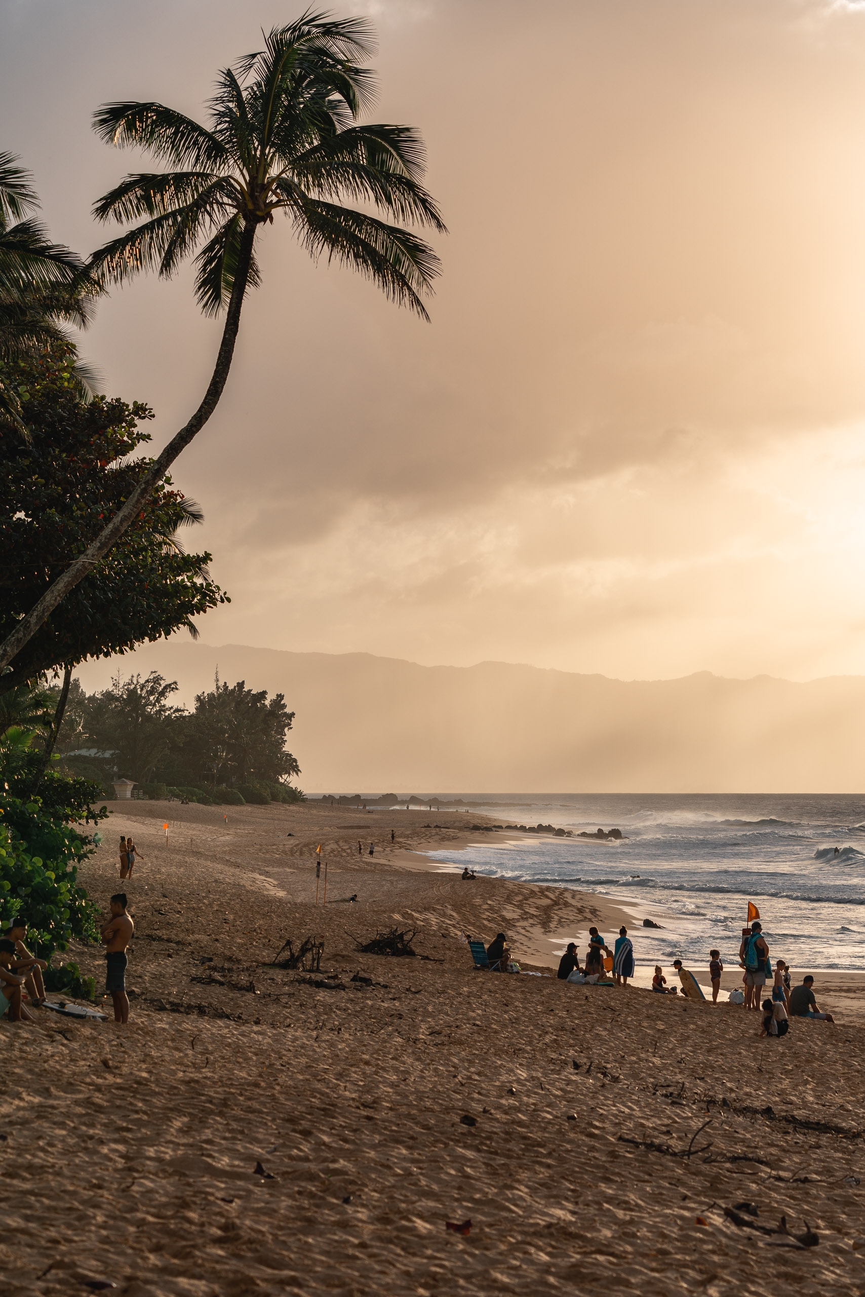 A curved palm tree leans over a sandy beach where scattered figures gather near the ocean, with hazy mountains visible across the water under a warm, overcast sky