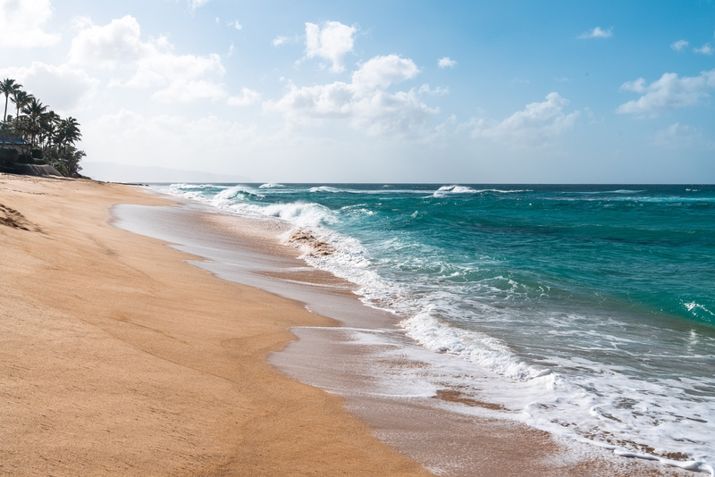 North Shore Beach Break, Morning Light