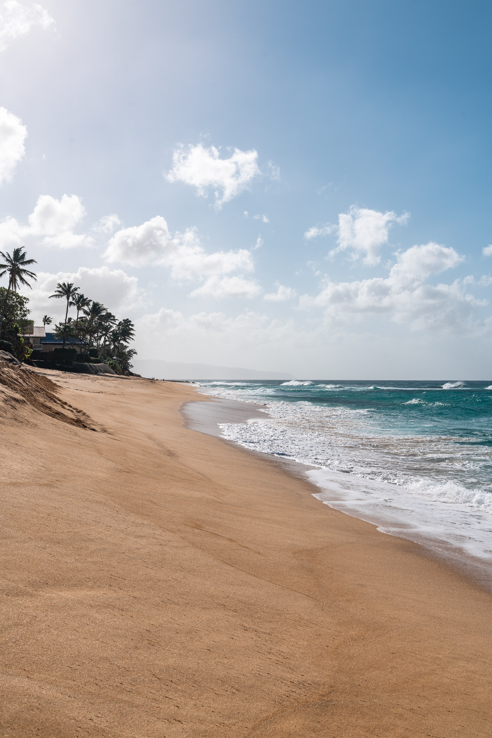 Sandy beach stretches beneath palm trees and a blue sky dotted with white clouds, where turquoise waves roll onto the shore under bright daylight