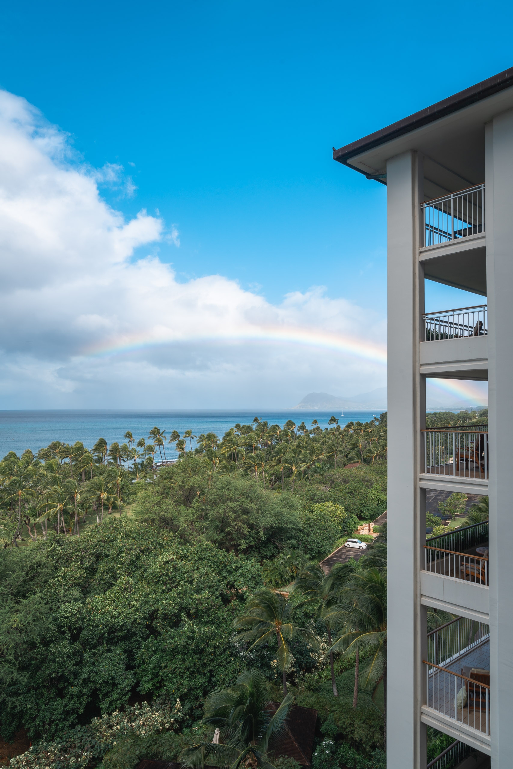 Modern multi-story resort tower with metal balconies overlooks lush tropical vegetation, palm trees, and calm ocean waters beneath a bright blue sky with white clouds