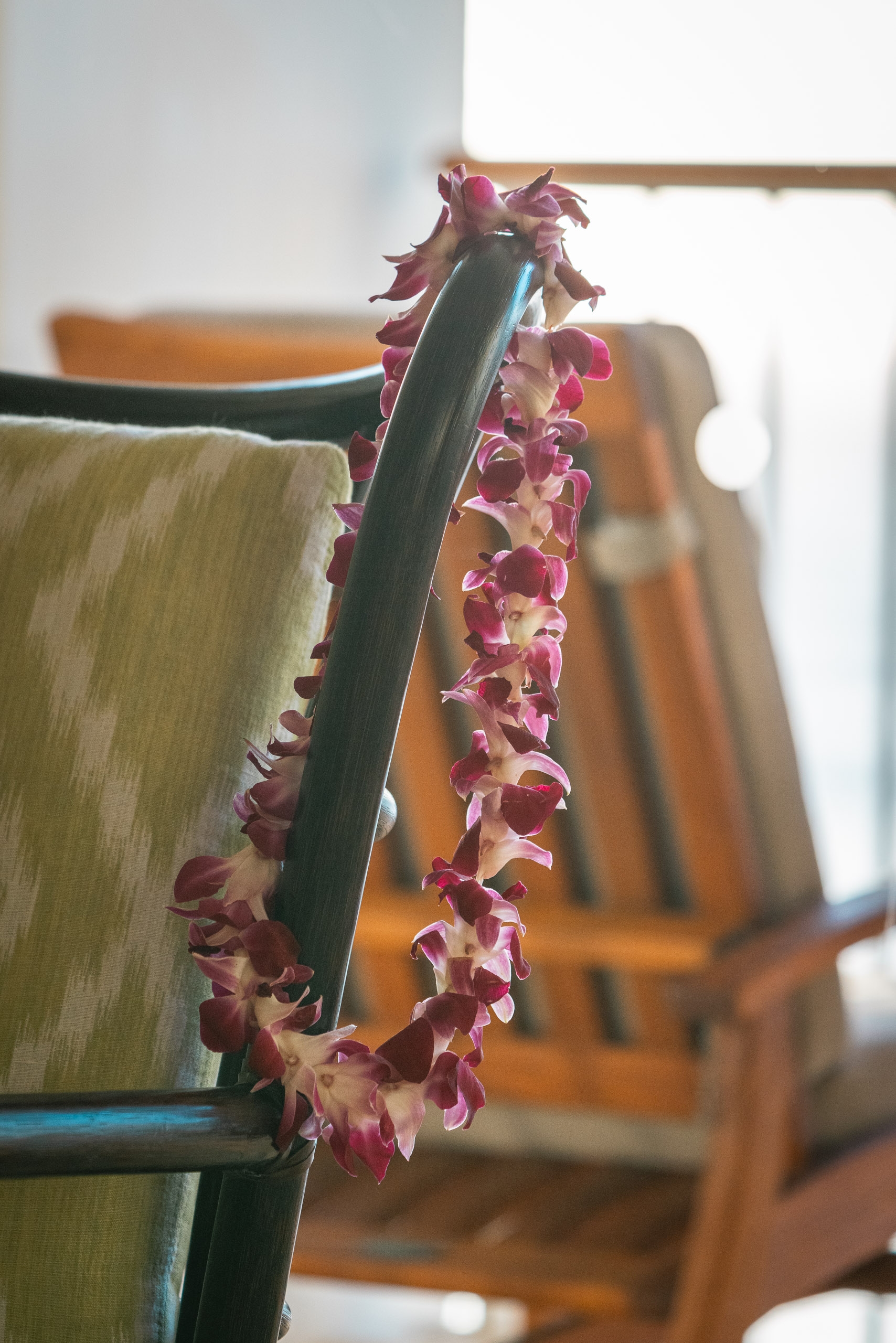 A burgundy orchid lei drapes across a wooden chair's dark backrest, with soft natural light illuminating the delicate petals and blurred furniture in the background.