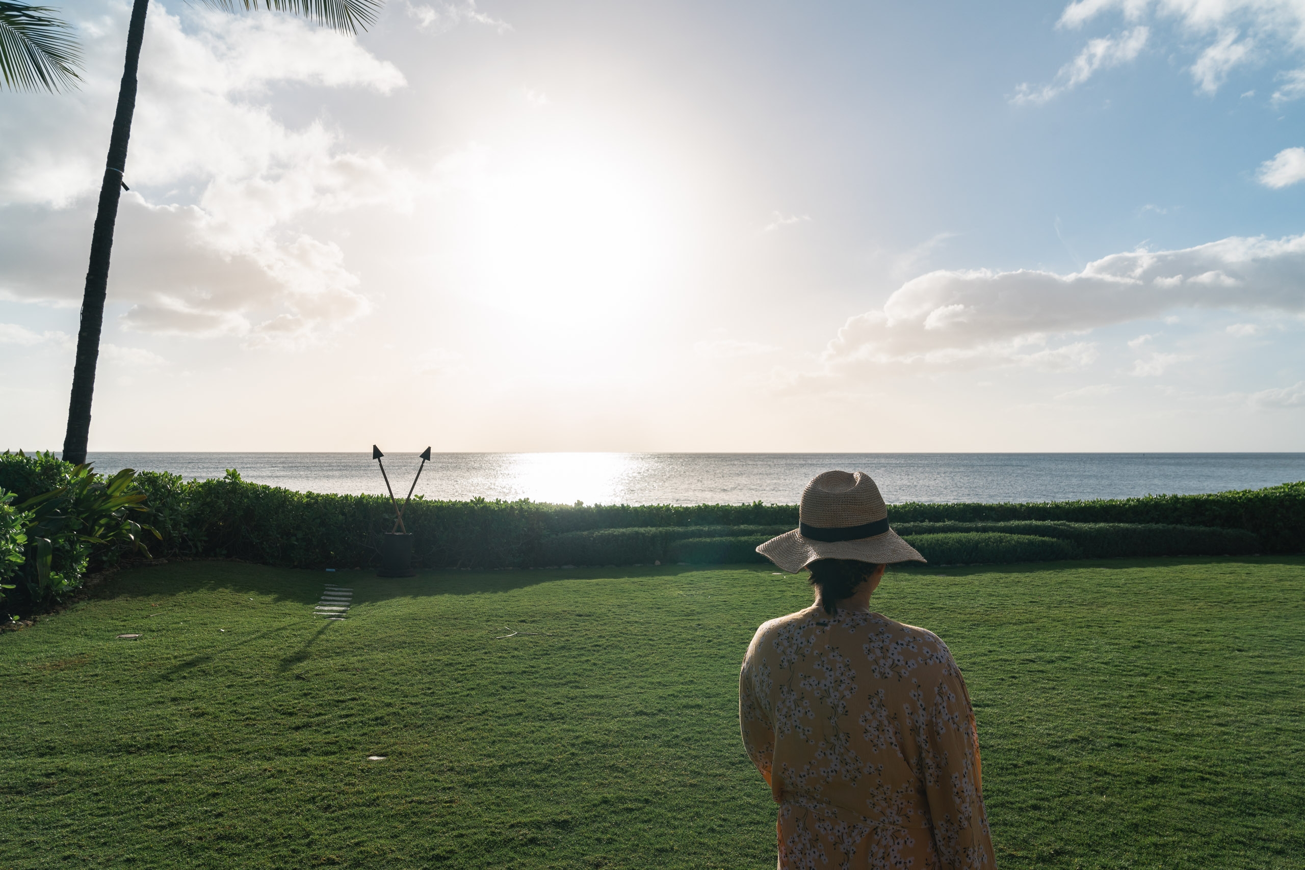 A person wearing a wide-brimmed hat stands on manicured grass facing the ocean, with a palm tree and tropical vegetation framing the bright coastal landscape