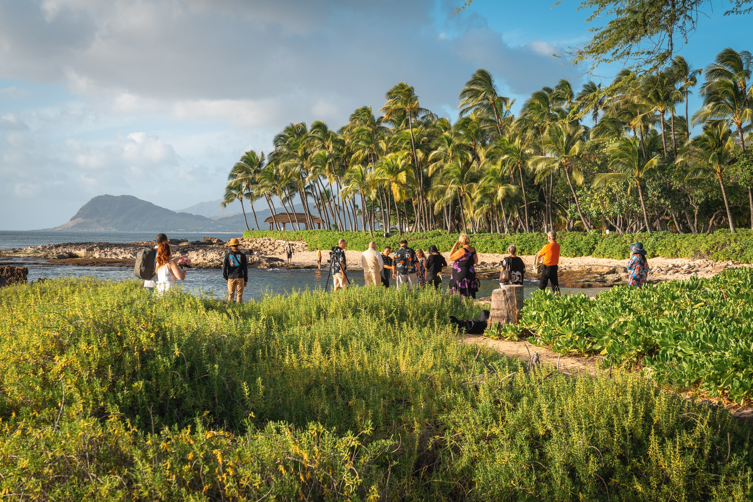 A group of visitors gathers along a rocky Hawaiian shoreline framed by tall coconut palms, with volcanic mountains visible across the turquoise water under partly cloudy skies