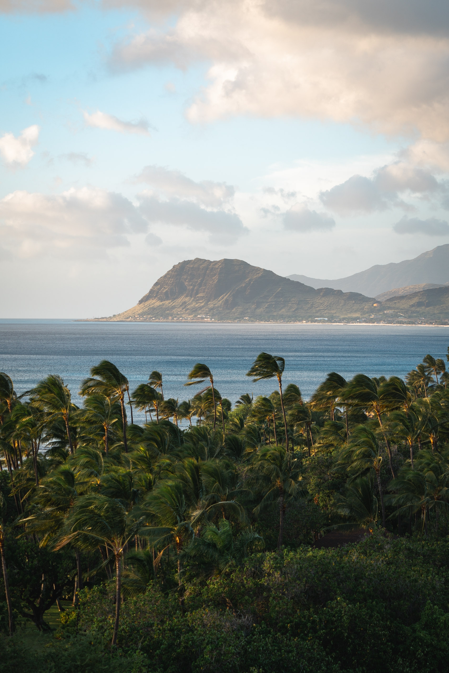 Palm trees sway in the foreground overlooking turquoise waters, with a dramatic volcanic mountain rising across the bay under partly cloudy Hawaiian skies