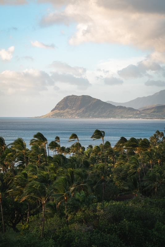 Volcanic Island Vista From Palm Beach