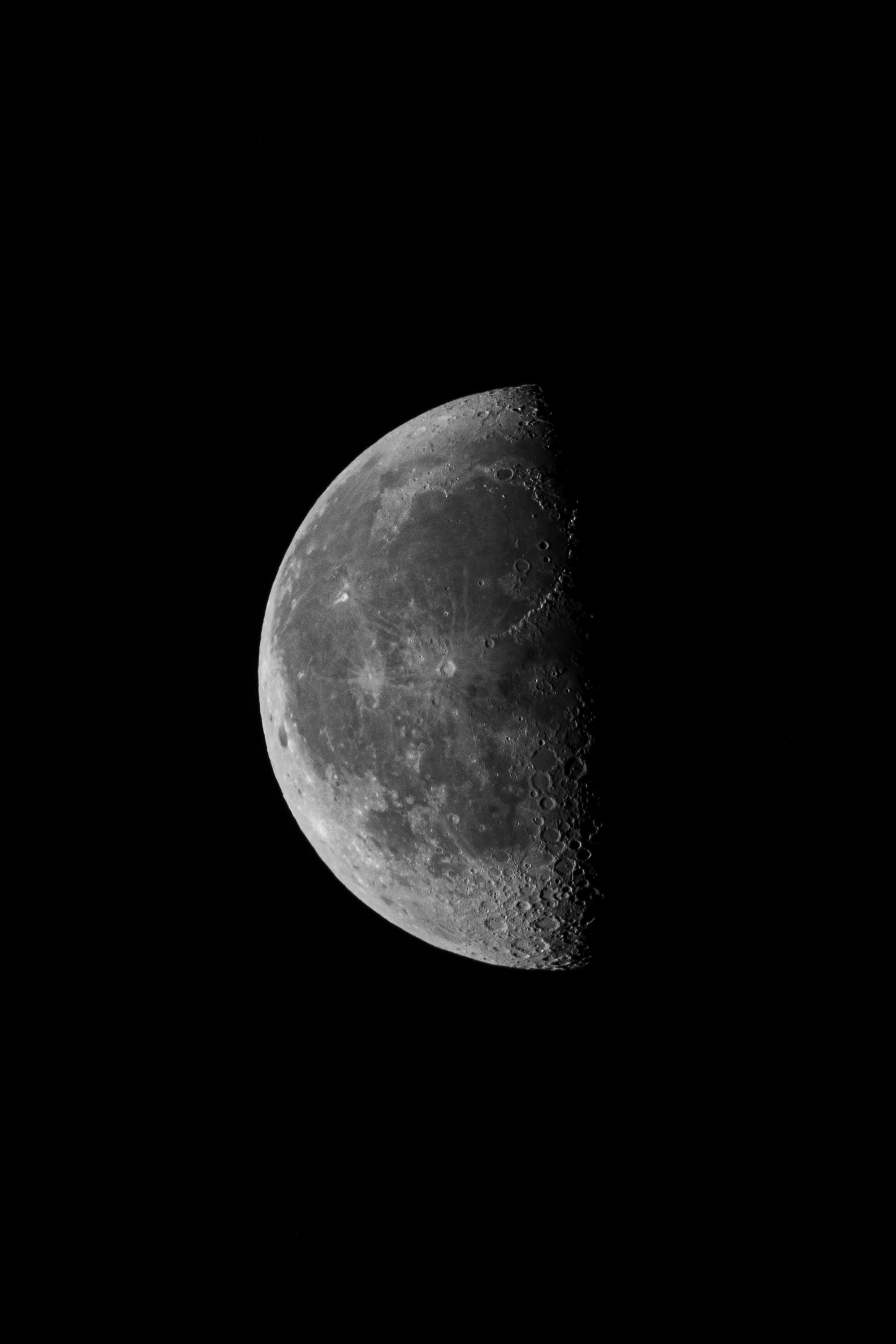 A half-moon phase illuminates against the black night sky, its cratered surface and shadowed terminator line rendered in sharp lunar detail
