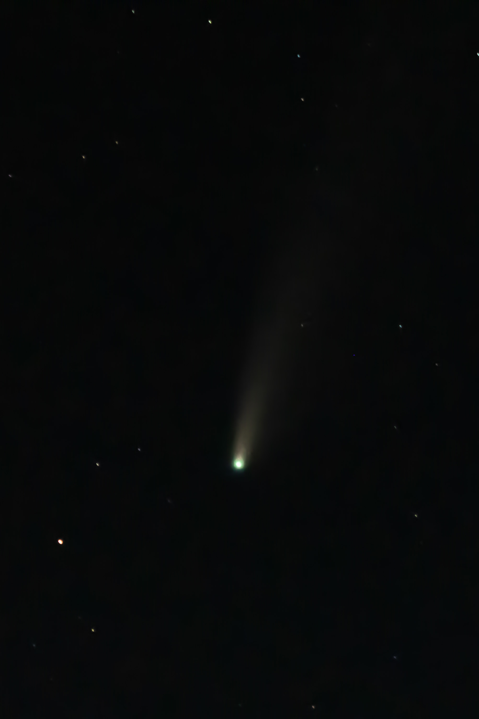 A bright comet with a luminous greenish nucleus and pale tail streaks vertically through a dark night sky dotted with distant stars