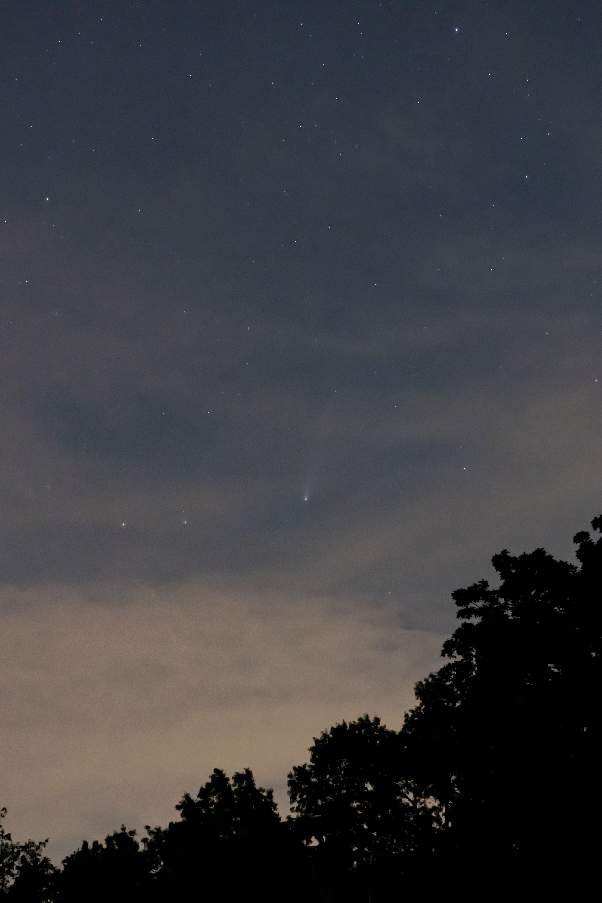 Silhouetted tree canopies frame the lower edge of a twilight sky scattered with distant stars and subtle clouds transitioning from warm amber to deep blue