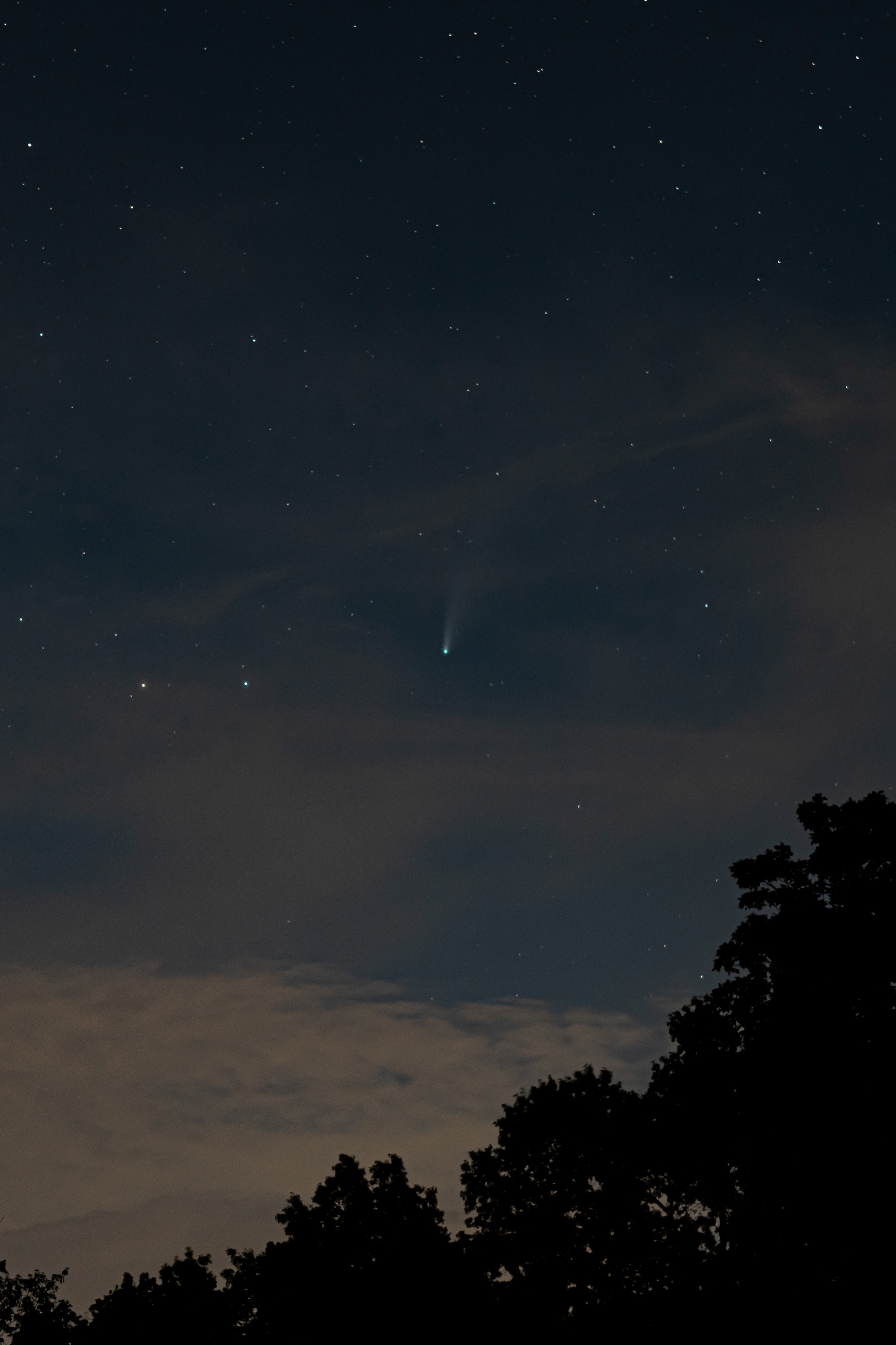 Silhouetted tree canopies frame the lower edge of a twilight sky scattered with distant stars and faint clouds transitioning from warm tan to deep blue overhead