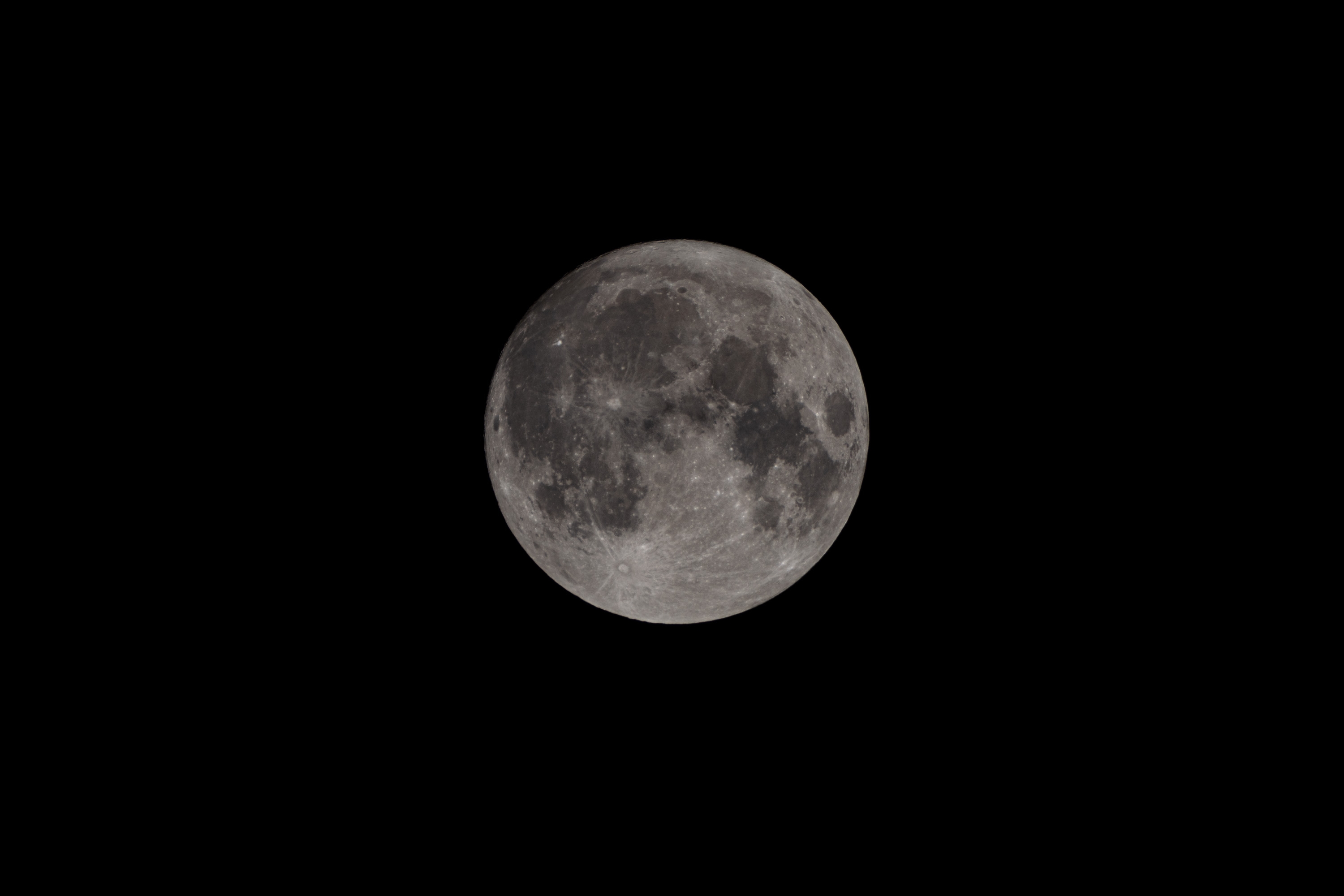 A full moon hangs centered against a pitch-black night sky, its cratered surface and dark maria clearly visible in cool gray tones