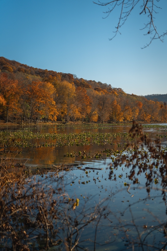 Autumn Reflection at Rockland Lake