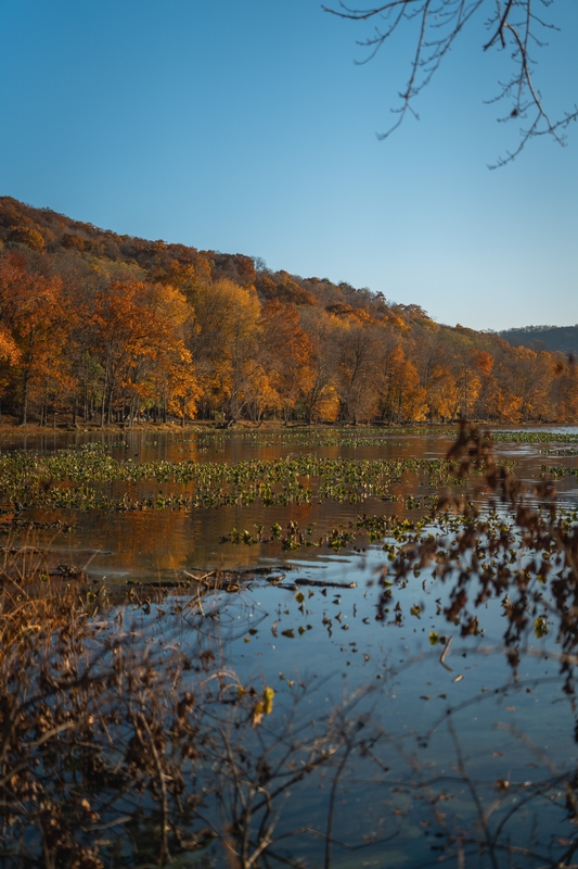 Fall Colors in Upstate New York - 2020-1108-_DSC3654