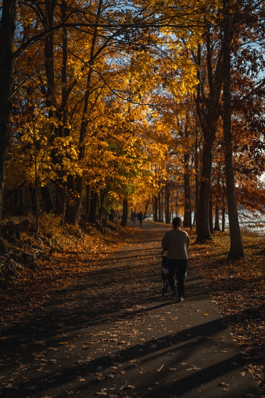 Jogger Running Through Autumn Leaves