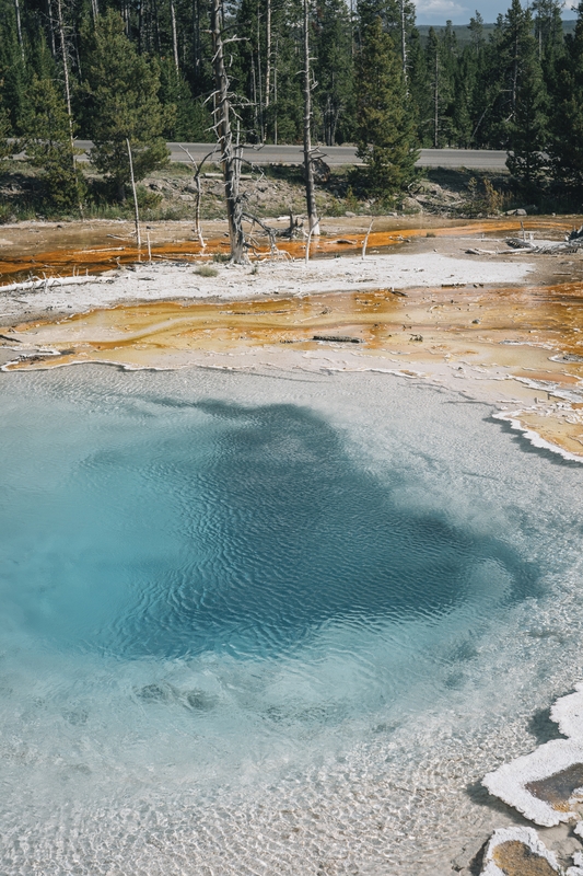 Jackson Wyoming - 2022-0823-_DSC0280