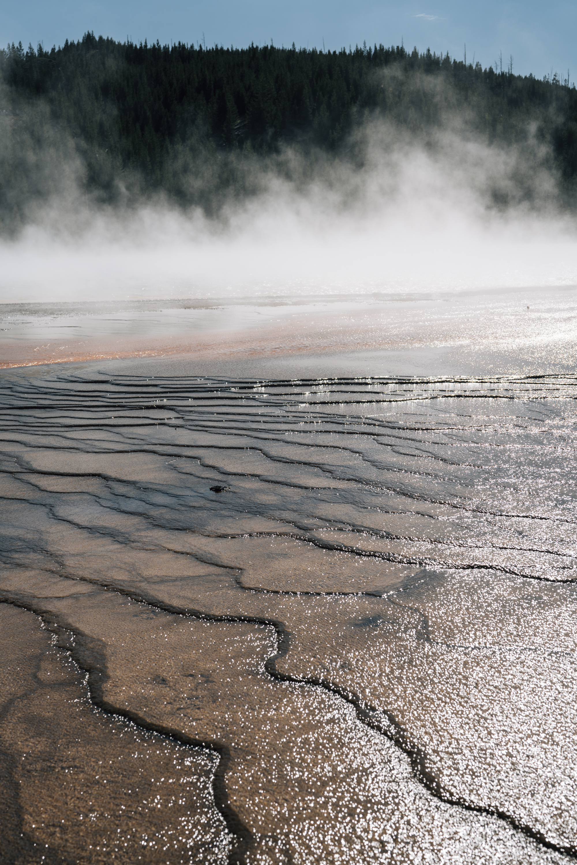 Dense steam rises from a mineral-rich hot spring's rippled surface, with dark thermal runoff patterns visible against colorful mineral deposits and a forested ridge shrouded in mist behind