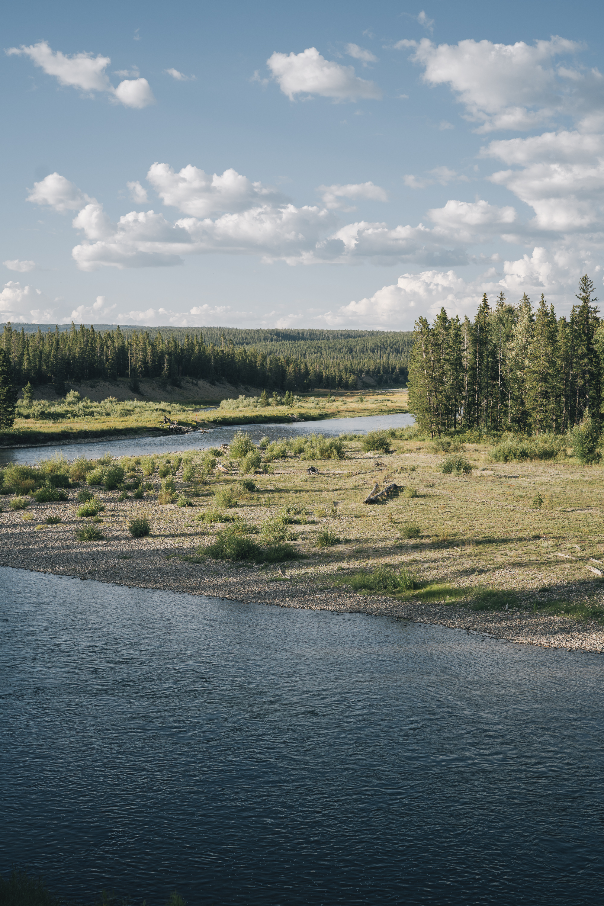 A winding river curves through a meadow bordered by dense coniferous forest under a partly cloudy sky in Yellowstone National Park