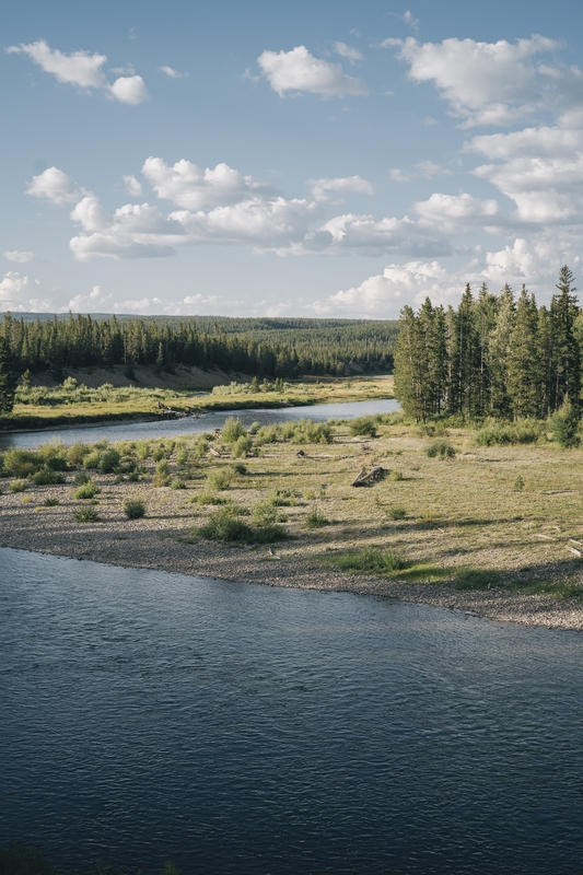 River Winds Through Yellowstone Meadow