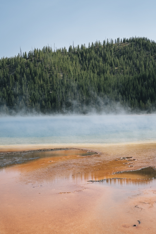Steaming Geothermal Pool Among Pines