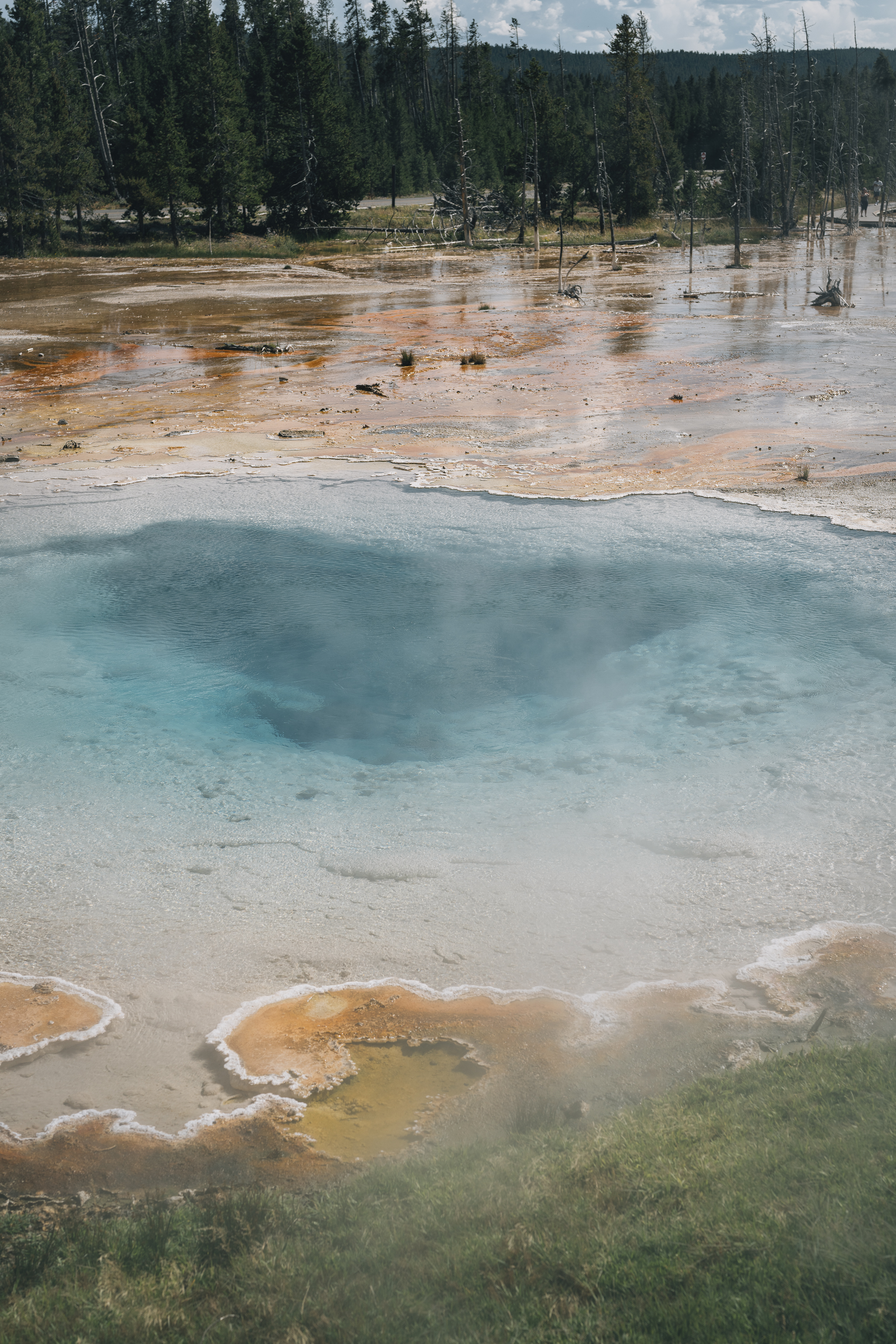 A turquoise geothermal hot spring pool sits in the foreground with mineral-stained edges, while rusty-colored thermal runoff spreads across tan earth toward a flooded meadow dotted with dead trees in the background.