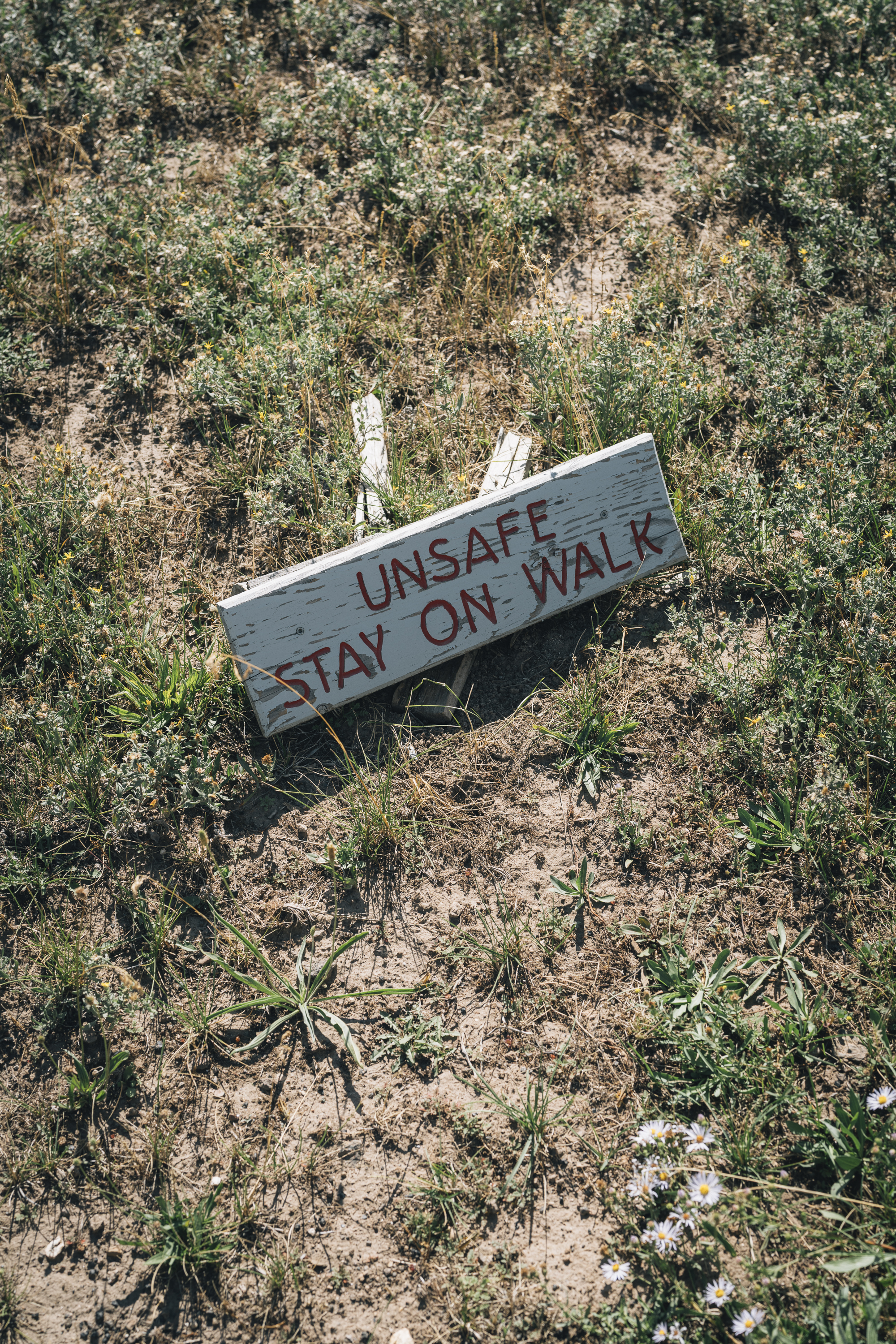 A weathered wooden sign reading "UNSAFE STAY ON WALK" lies discarded on arid, sparse ground covered with scattered vegetation and small plants