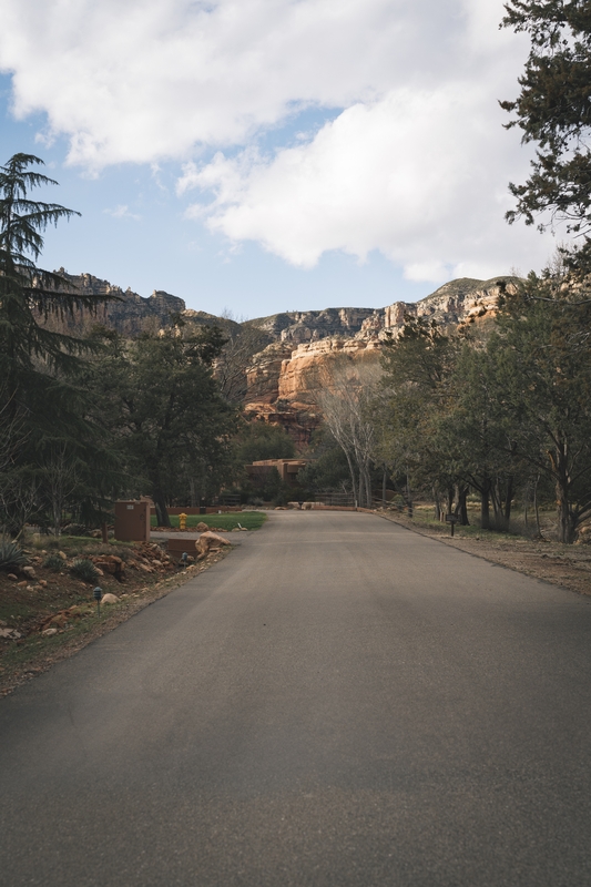 Tree-Lined Road To Red Rock Canyon