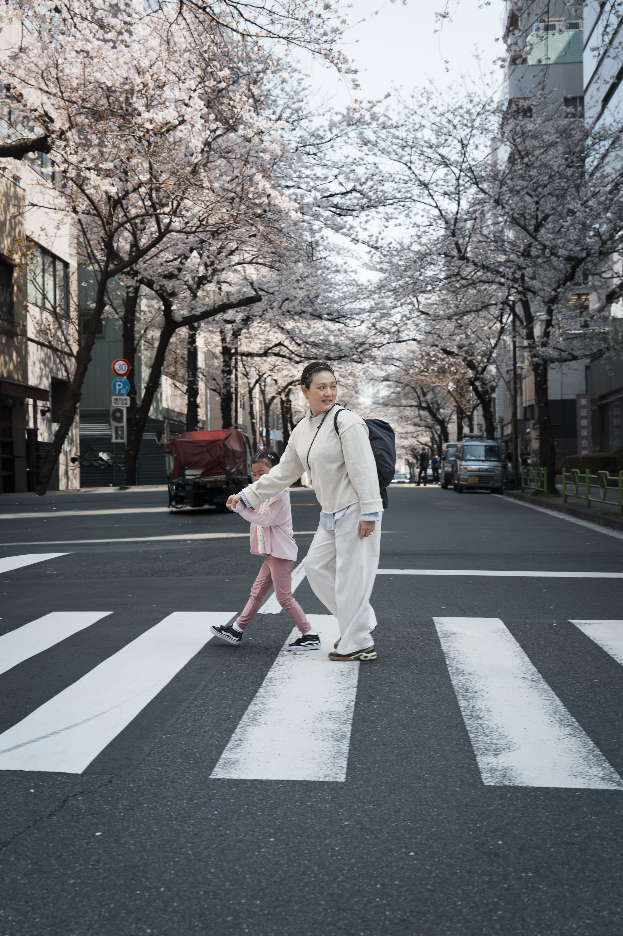 An adult in light-colored clothing guides a young child across a zebra crossing on a tree-lined urban street during spring, with bare branches overhead and soft natural lighting