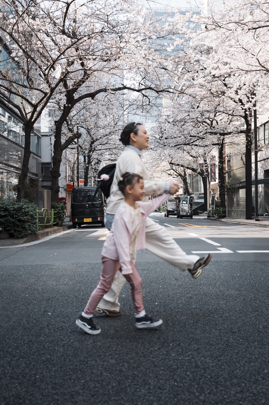 Japan - 2026-0329-L1020160
