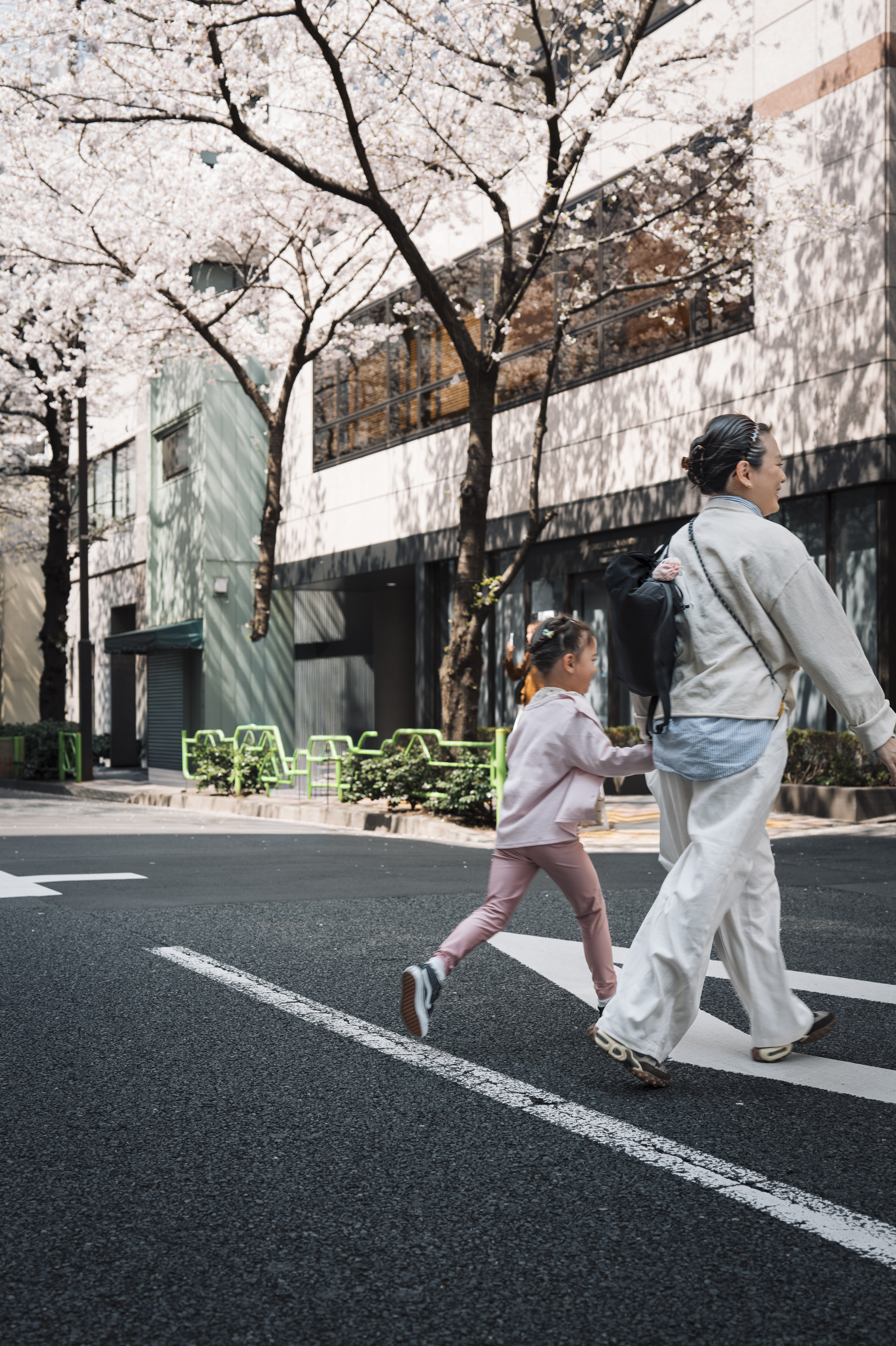 An adult and child walk holding hands across a zebra crossing beneath blooming cherry blossom trees, with modern striped buildings and spring sunlight in the urban Japanese street