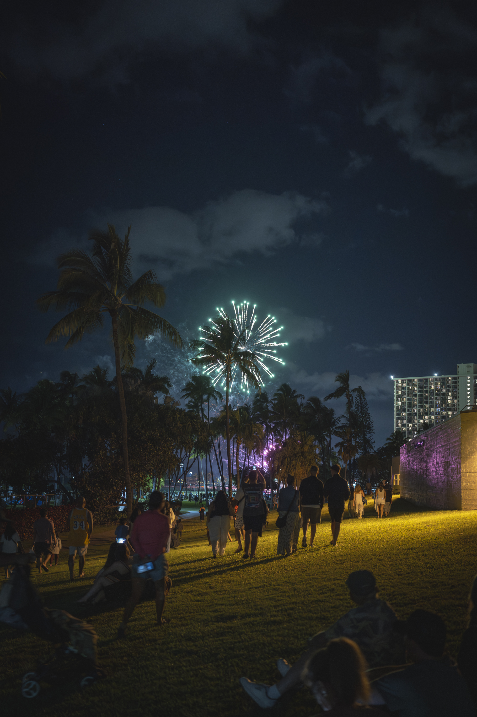 Crowds gather on a beach at night as fireworks burst overhead, with palm trees silhouetted against the dark sky and illuminated buildings glowing in warm tones along the shoreline