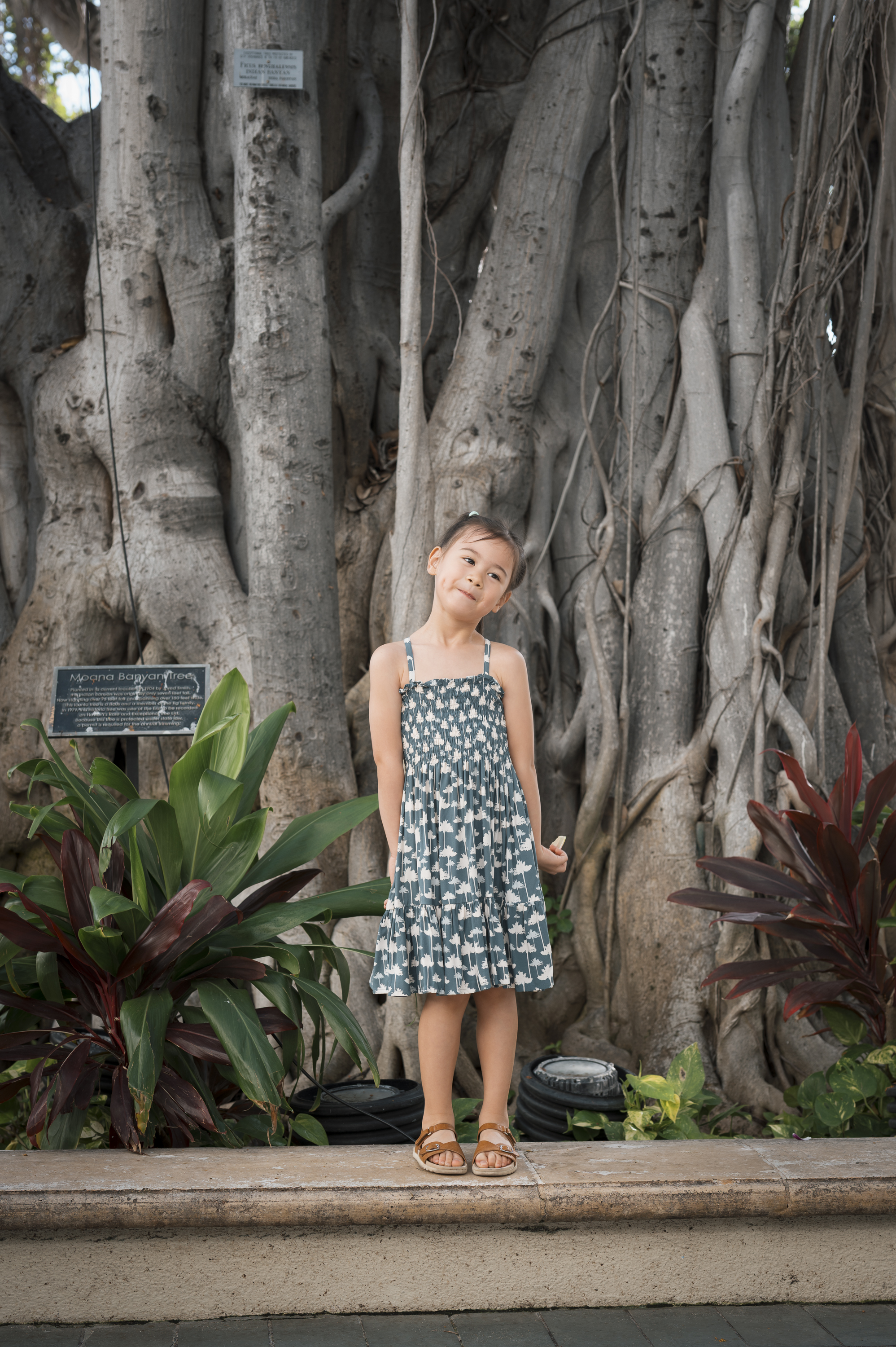A young girl in a patterned blue dress stands gazing upward before an enormous banyan tree with massive intertwined trunks and tropical plants at its base