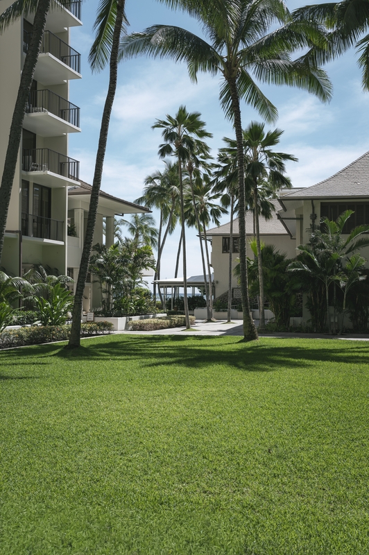 Hawaii - 2026-0404-L1020453