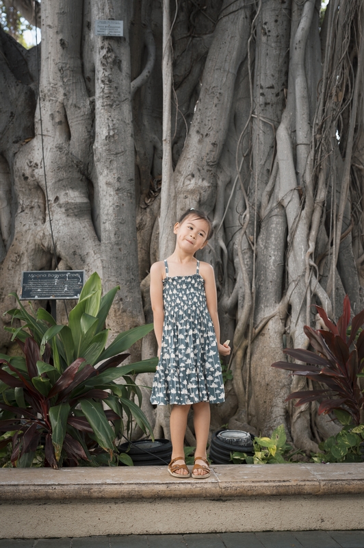 Hawaii - 2026-0404-L1020462