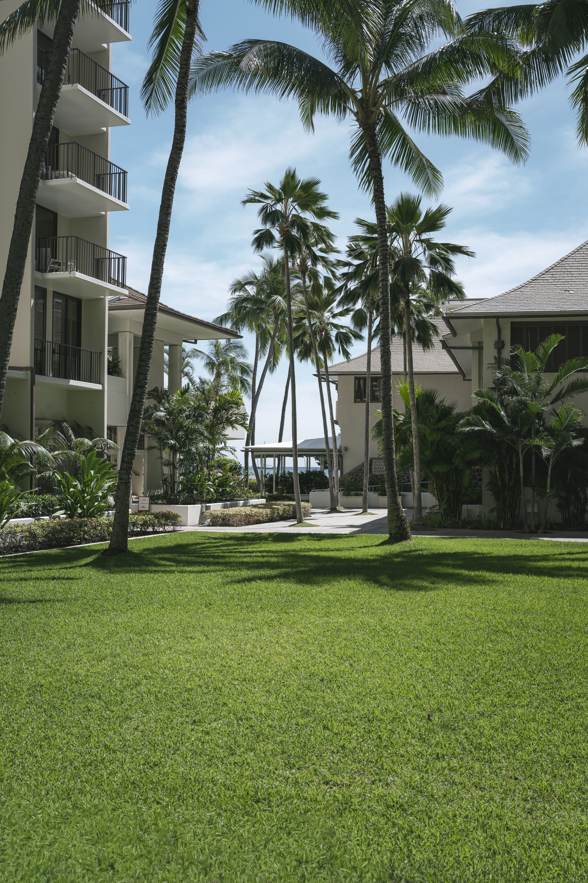 A manicured lawn stretches before modern beachfront resort buildings flanked by tall palm trees under a bright, partly cloudy sky